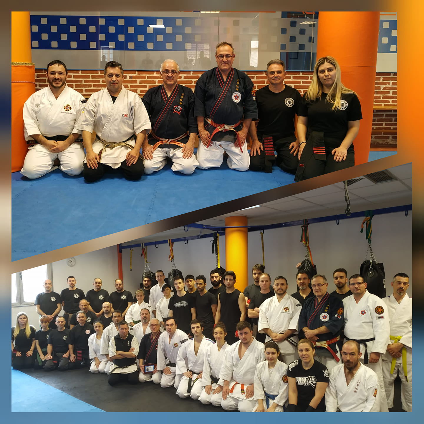 Curso Contact Karate